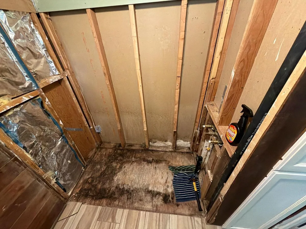 Mold remediation in progress in Philo, Anderson Valley — wall opened, affected subfloor and framing exposed for treatment