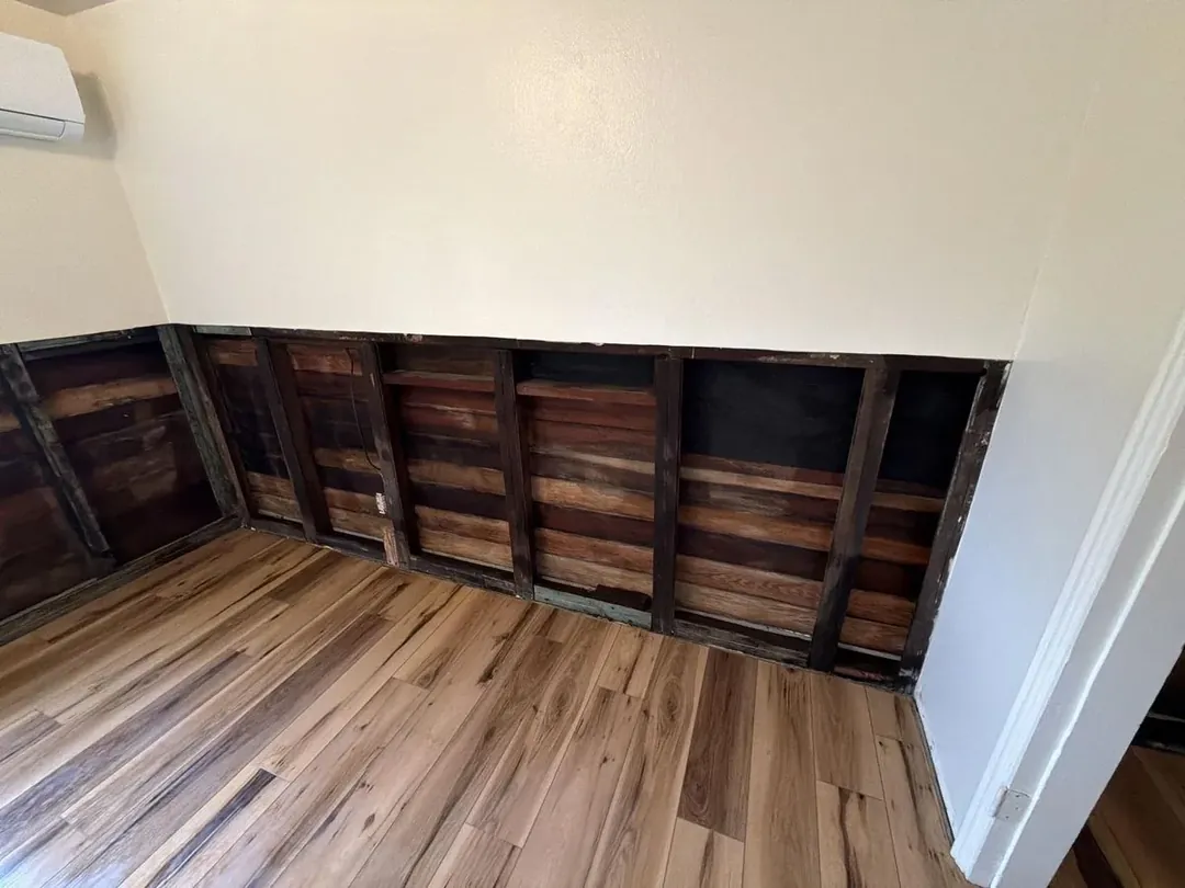 Wall framing cleaned and treated after mold remediation in Mendocino County